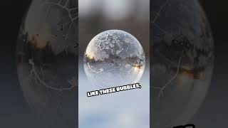 Frozen Bubbles: Stillness in Nature's Art