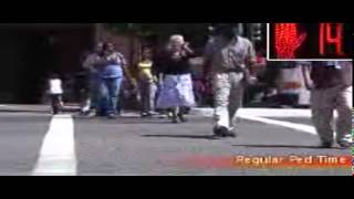 Adaptive Signal Timing for Pedestrians