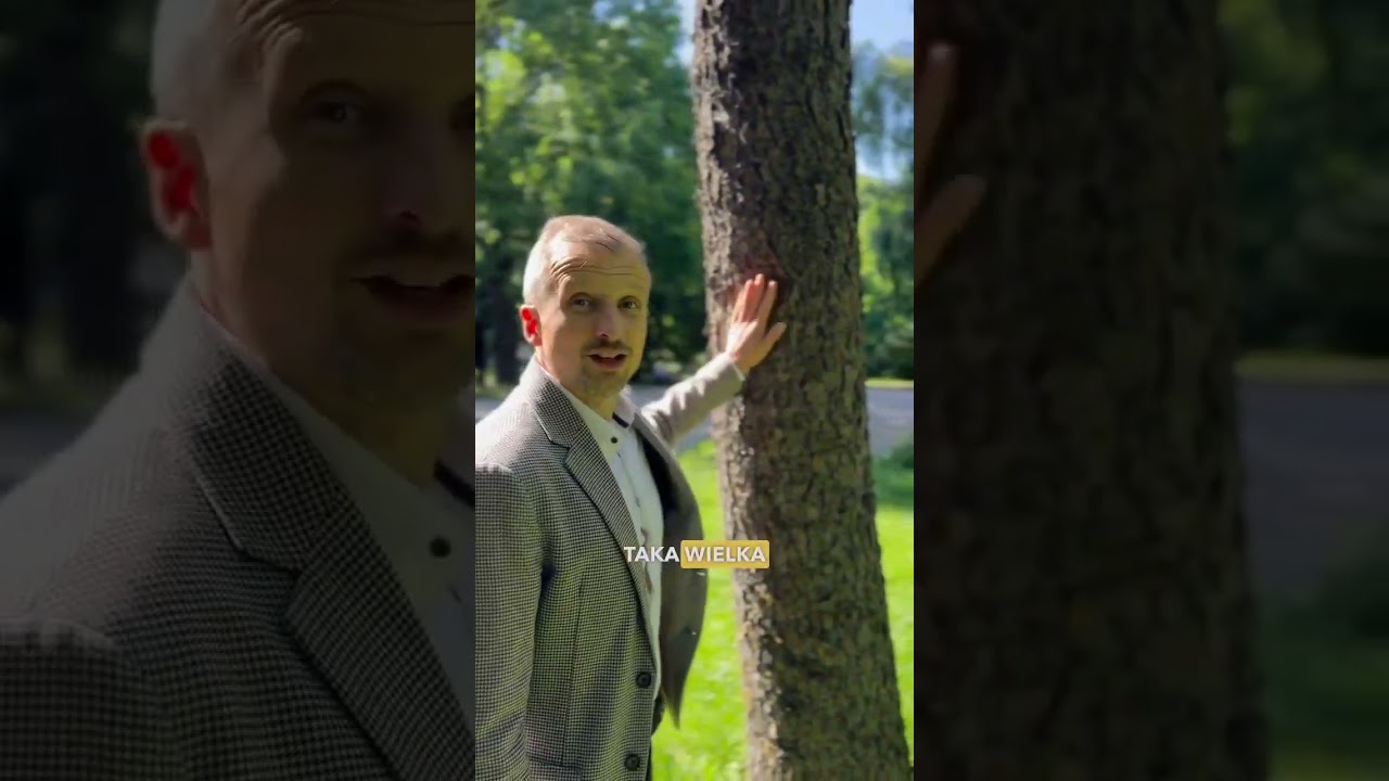 uśmiechnięty wiceminister środowiska i ,,wielka sosna"