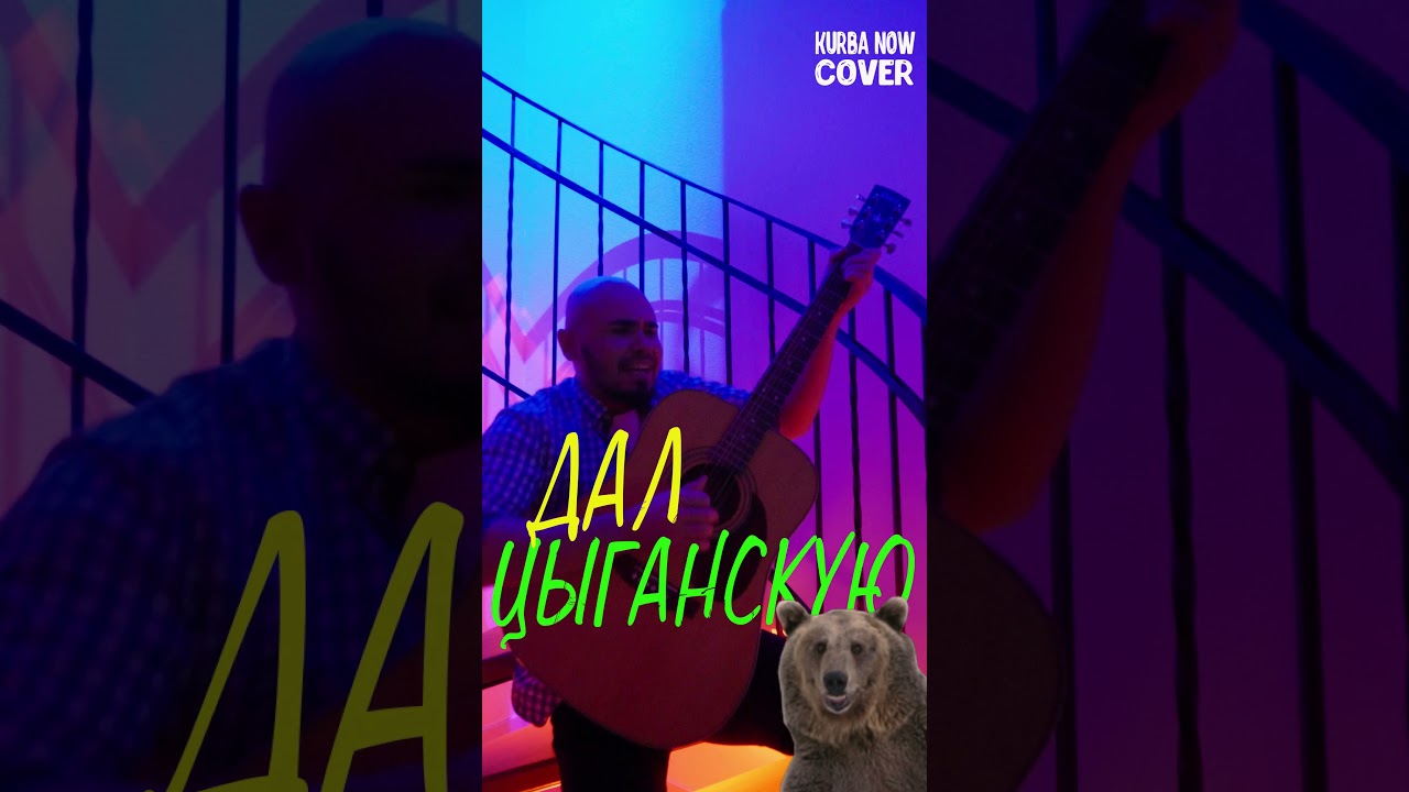 дал ЦЫГАНСКУЮ на гитаре - МЕДВЕДИ НЕ ОЖИДАЛИ  💃🏻🐻🎻 | Kurba Now кавер на гитаре 