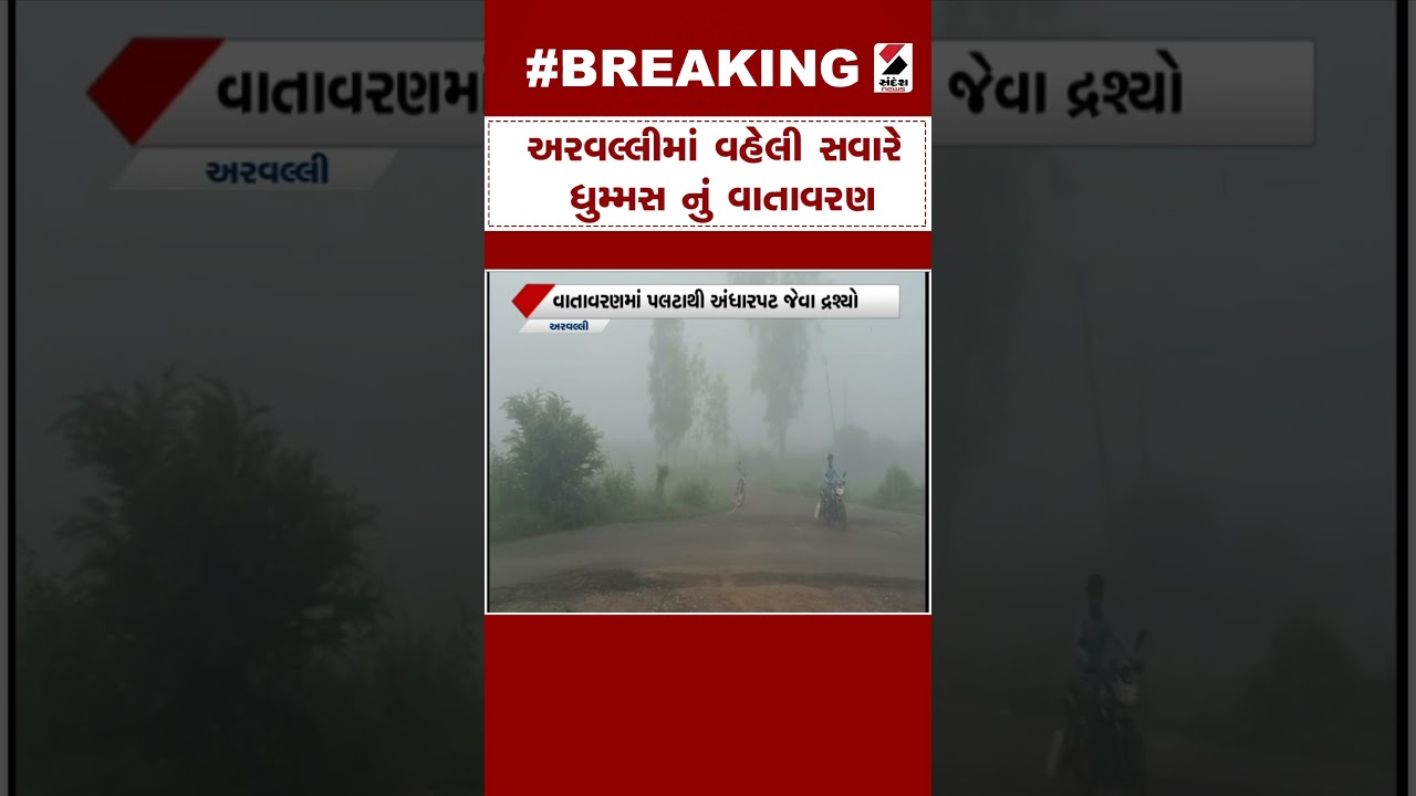 Arvalli News | અરવલ્લીમાં વહેલી સવારે ધુમ્મસનું વાતાવરણ | Gujarat Monsoon | Weather Update