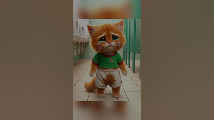 Always lend a helping hand to others #cat #ai #catvideos #catlover #poorcat #aiart