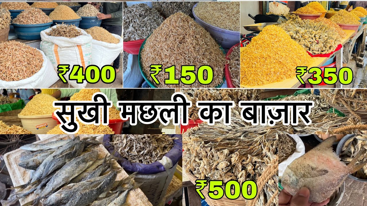 सुखी मछली की मार्किट / Sewri Dry Fish Market Dried Fish Market Wholesale Dry Fish Market