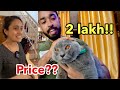 2 ലക്ഷം രൂപക്ക് ഒരു കരിമ്പുലിയെ വാങ്ങി!! | Surprised my Sister with a CAT