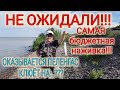 Ейск🌹А на что клюет пеленгас???Бюджетная, доступная наживка Рыбачим на Азовском море. Цветы и вишни.