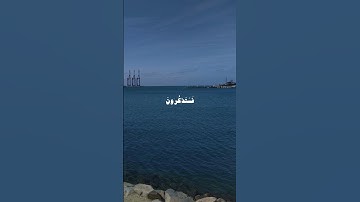 ﴿فستذكرون ما أقول لكم وأفوض أمري إلى الله إن الله بصير بالعباد﴾ | سورة غافر | الشيخ مشاري العفاسي
