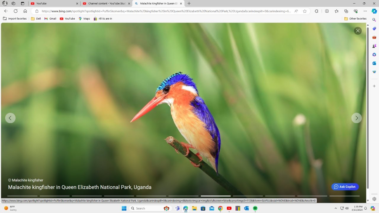 The Desires Hidden In Early Morning Silence YouTube the-desires-hidden-in-early-morning-silence-youtube