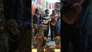 #lallorona #xochimilcodemicorazón #trajineras
