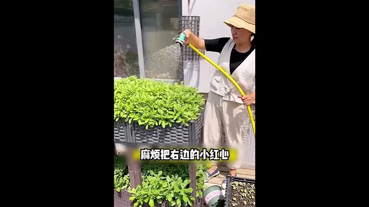 万万没想到，学会这个小配方，你就不用花钱去买杀虫剂了 - 天天要闻