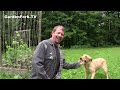Beginning of video