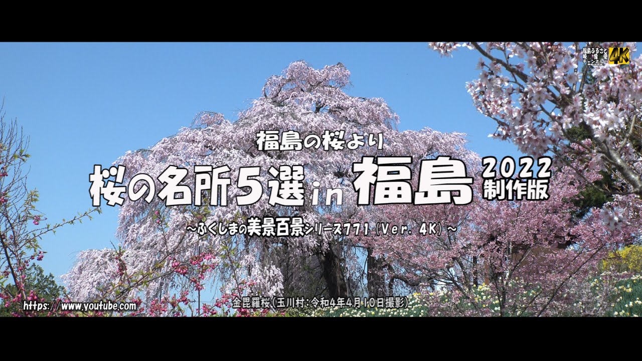 福島の花めぐりより ｖｅｒ 4ｋ 福島市成川 新名所 五反田のチューリップ畑 Youtube
