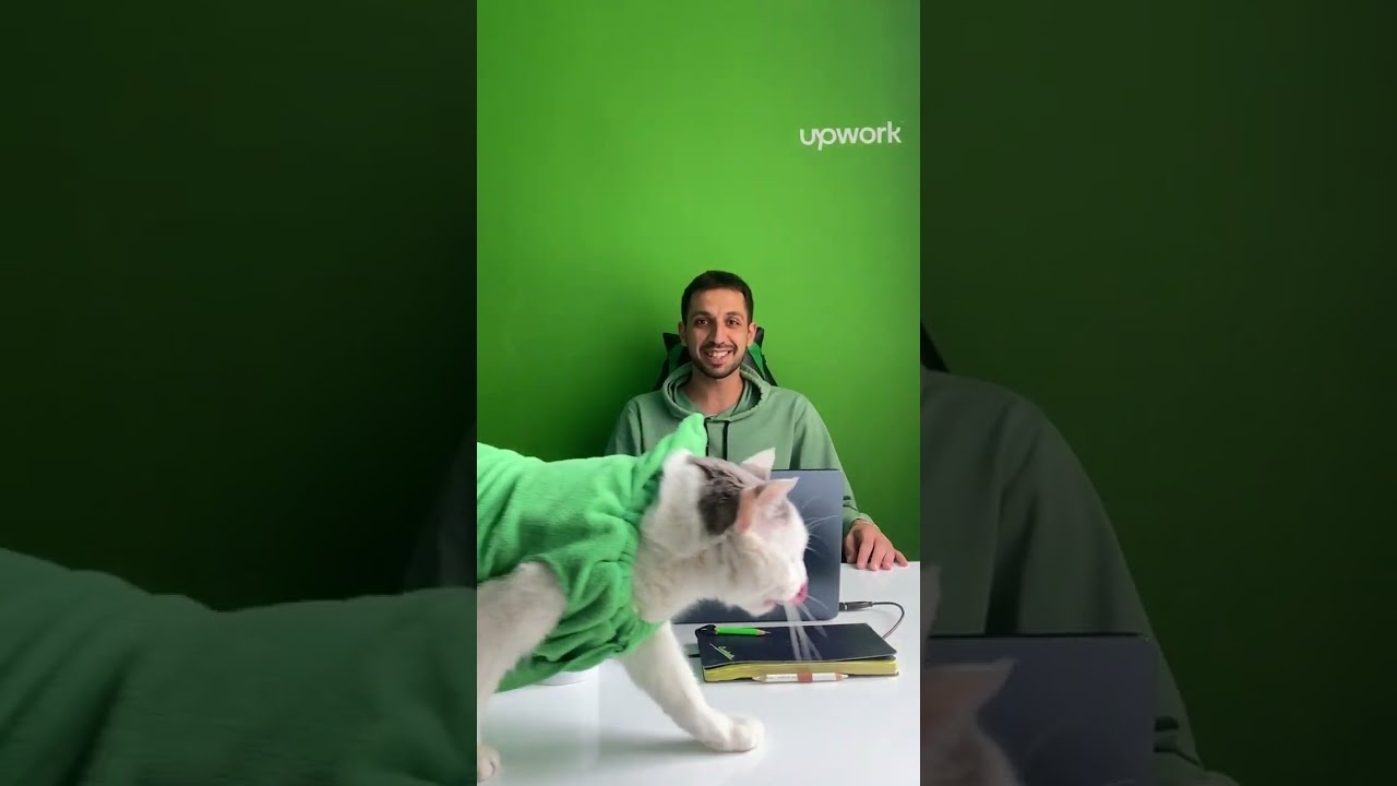 Top Rated Plus freelancer with 100% Job Success Score