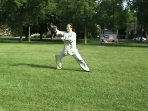 Hong junsheng Practical Chen style taichi Yilu Din...