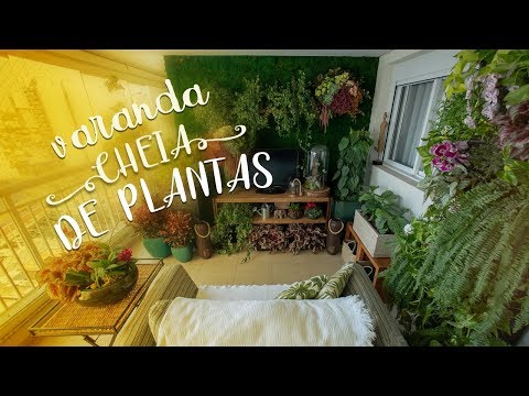 Vídeo: Jardim Vertical Na Varanda