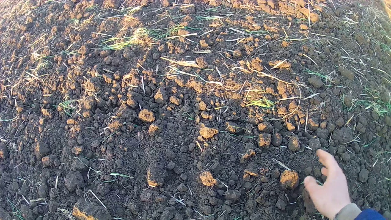 Пахота VS Глубокорыхление (сохранение влаги)