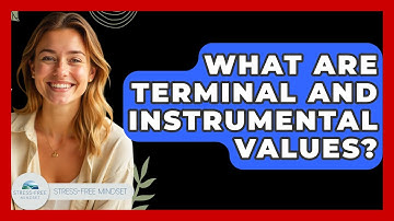 What Are Terminal And Instrumental Values? - Stress Free Mindset