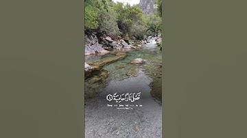 القرآن الكريم .سورة الغاشية #استغفرالله #لايك #راحة_نفسية #اكسبلور #تيك_توك #سبحان #استغفار