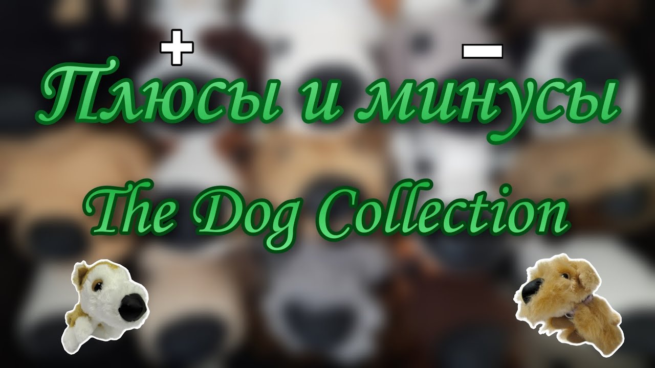 В чём проблема "The Dog Collection"? Плюсы и минусы