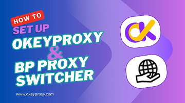 How To Set Up OkeyProxy In BP Proxy Switcher？