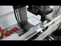 How to Ensure Precise Cap Torque for Small Bottles | Single Chuck Cap Retorquer