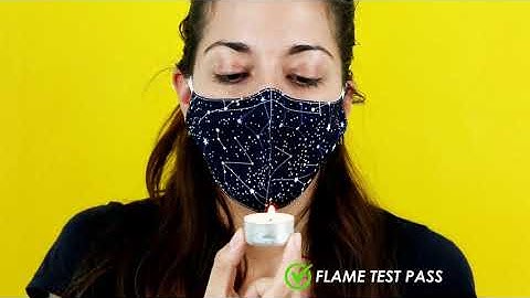 Cocktail Critters Face Mask // Reuseable, Washable, 100% Cotton, Nose Wire, Adjustable Ears, Filter