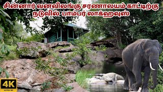 🔥முதலையை பார்த்தது | Chinnar Wildlife Pambar Log house  @SimbaaVlogs