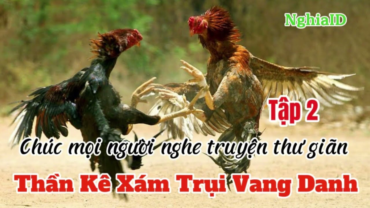 TRUYỆN GÀ CHỌI |Thần Kê Xám Trụ Vang Danh| (Tập 2) kể truyện đêm khuya