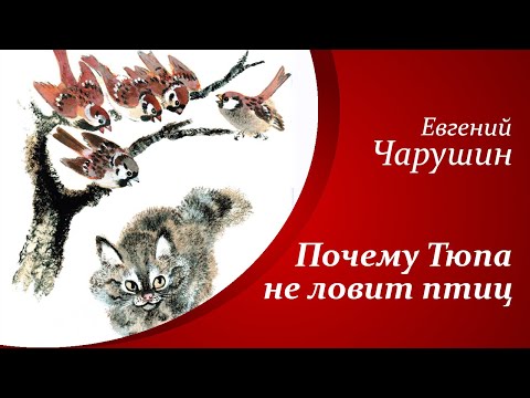 Рассказы о животных для детей  |  Е.И. Чарушин - Почему Тюпа не ловит птиц🐈