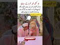 This is the Islamic queens lifestyle #marriagevideo #weddingceremony #wedding #islamicwedding