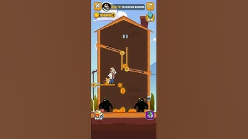 Home Pin - How To Loot? - Pull Pin Puzzle Level 222 Walkthrough