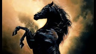 The Black Stallion Movie Trailers