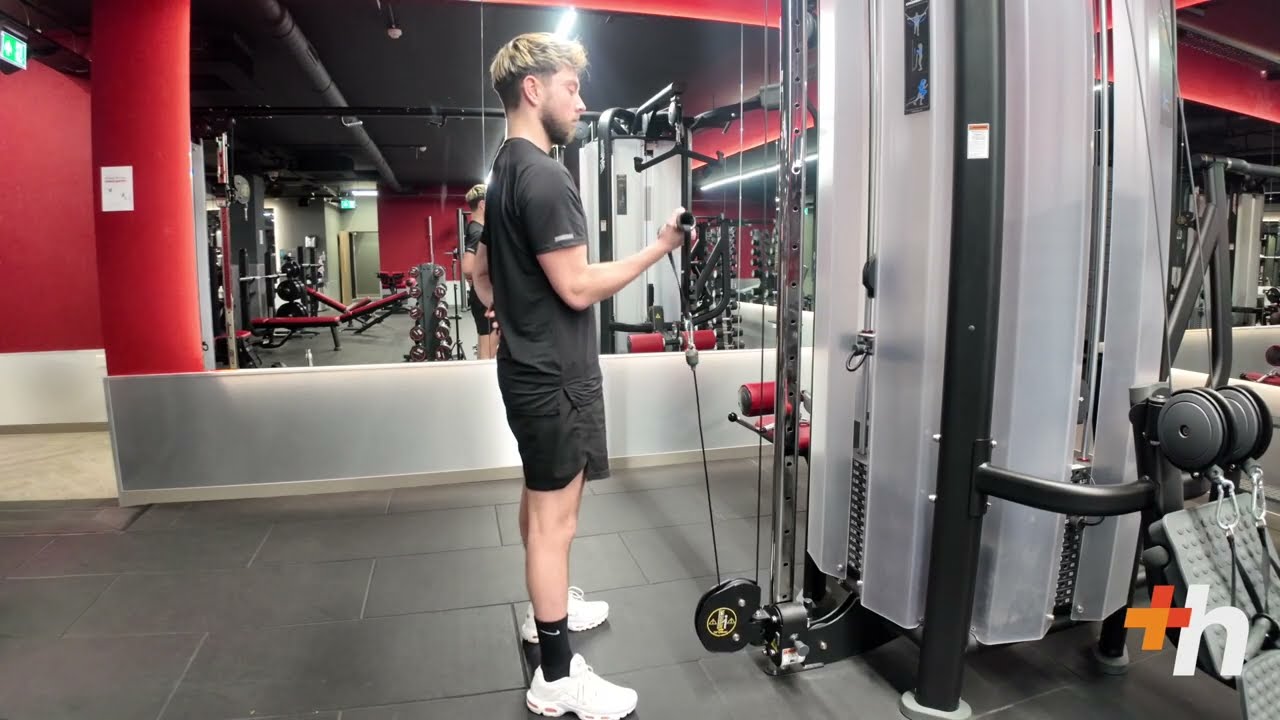 Single-Arm Cable Curl