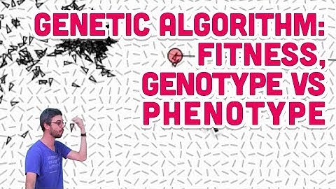 9.5: Genetic Algorithm: Fitness, Genotype vs Phenotype - The Nature of Code