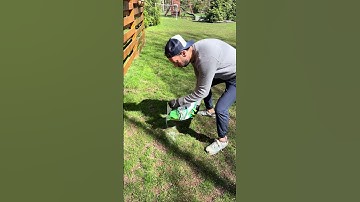 Your Dream Lawn - Scotts Turf Builder