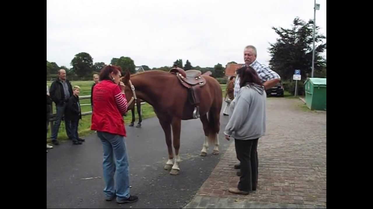 Knochenbrecher Ostfriesland