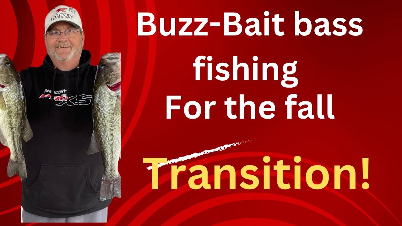 Fall Buzz baits(bass fishing techniques for the fall transition)