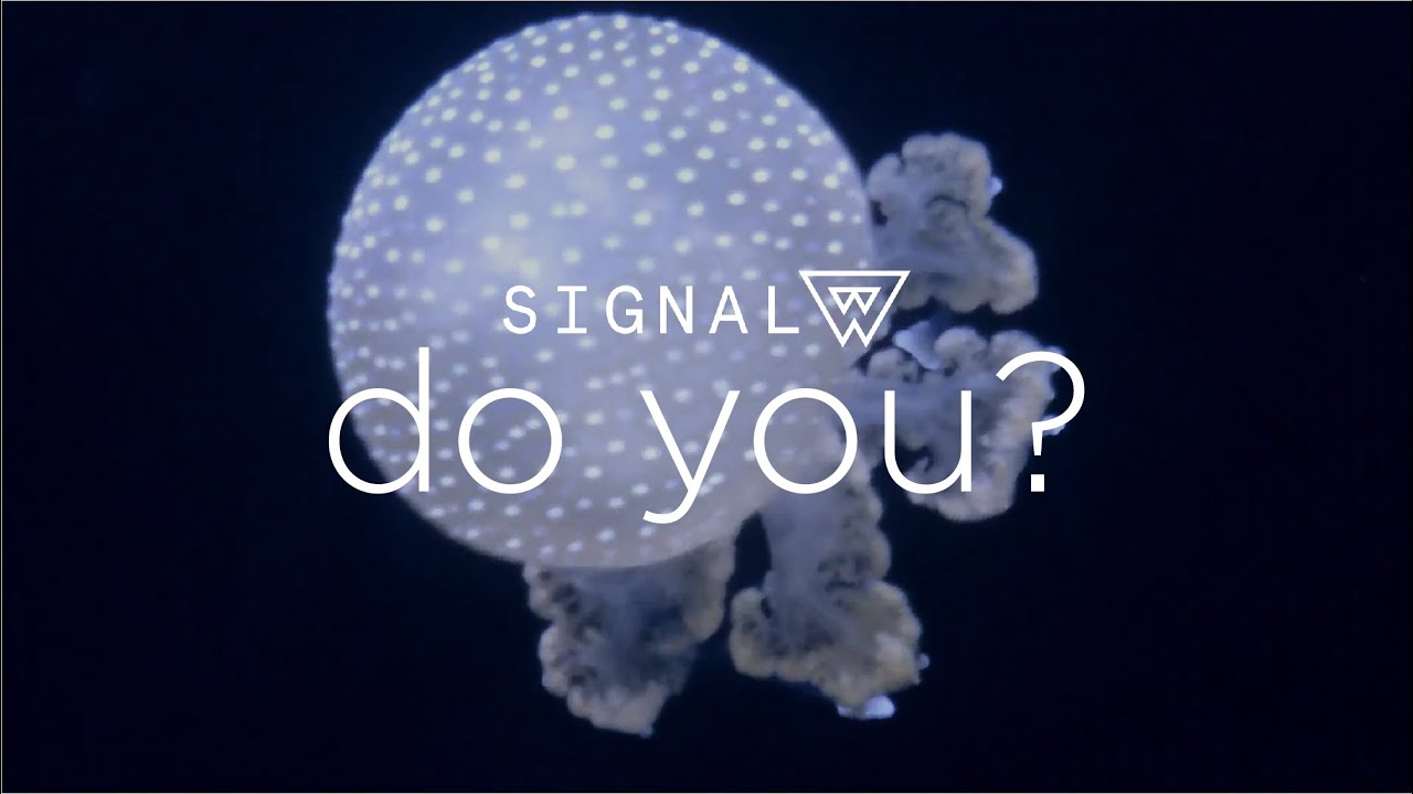 Watch Signal W - "Do You?" (Official Music Video) on YouTube