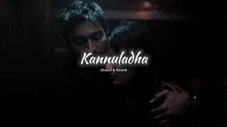 Kannuladha Song 🦋😘 - ( Slowed & Reverb ) | 3 Movie |