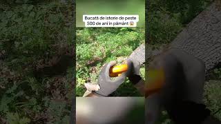 Video nou postat chiar acum, hai pe canal să-l vezi #romania #metaldetecting