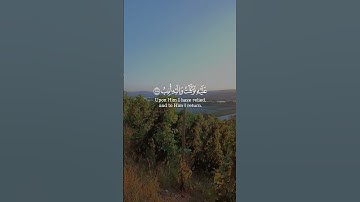 قران كريم #قران كريم #france #اكسبلور #duet #راحة_نفسية #لايك #تيك_توك #حالات_واتس #ترند #beautiful