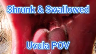 Shrunk & Swallowed Uvula Preview