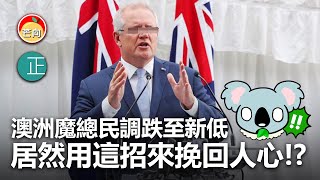 20210330E 澳洲魔總民調跌至新低,居然用這招來挽回人心 | 芒向快報