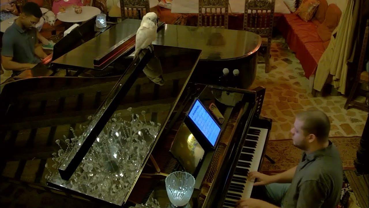 The Cannon Club Jazz Piano Duo YouTube