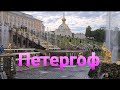 Петергоф. Блистательный Петербург. Что посетить в Петербурге.Прогулка с Миссис Дружба народов.