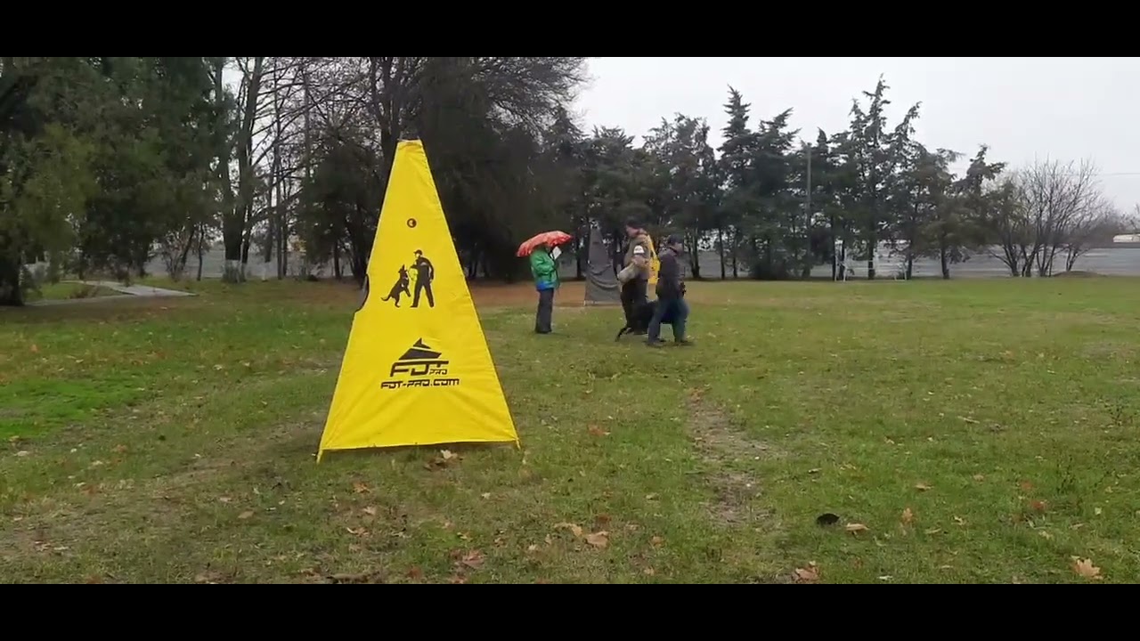 ARCE DEOS AXEL - IGP 3 exam