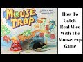 Mouse Trap Game used as an Actual Mouse Trap