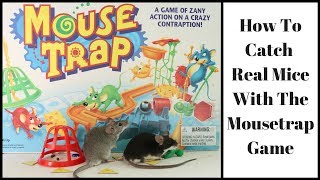 Catching Real Mice With the Mouse Trap Board Game.  Mousetrap Monday. screenshot 4