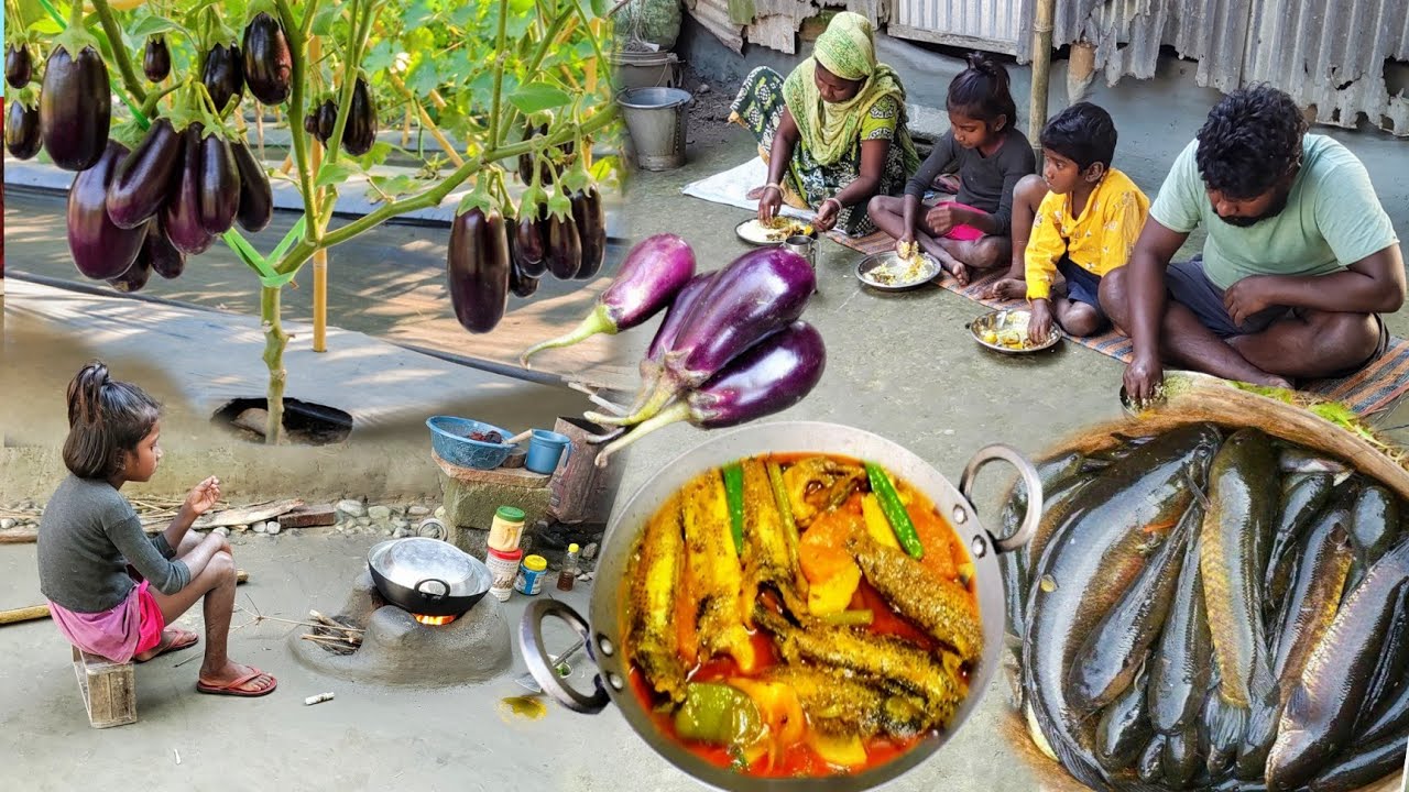 New Style SNAKEHEAD FISH curry cooking with FRESH BRINJAL recipe || Taki Macher Jhol