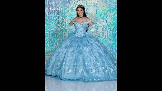 3D Floral Quinceanera Dress by Camila Q Q1214