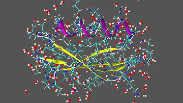 A protein in motion with water molecules